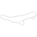 Neon White Skateboard